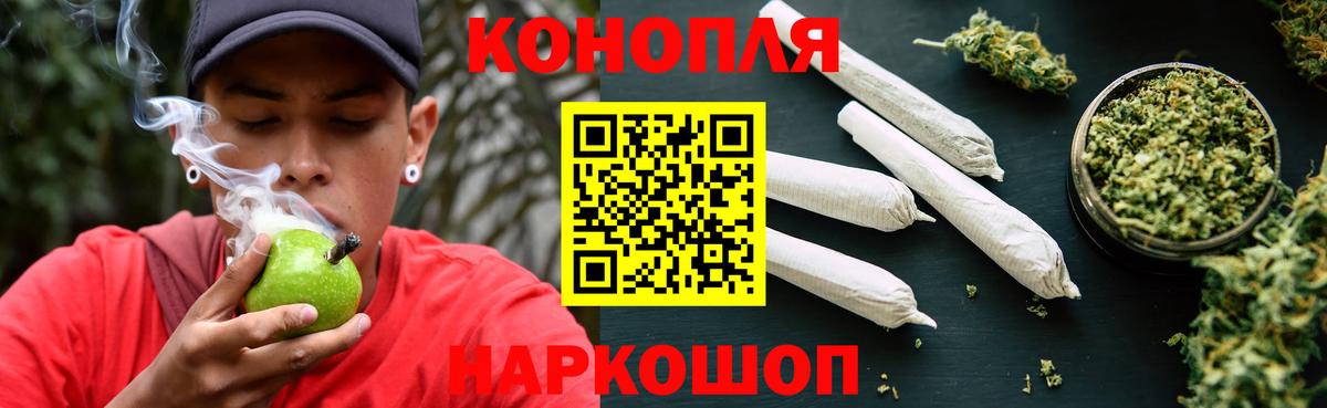 Шишки марихуана марихуана Коряжма
